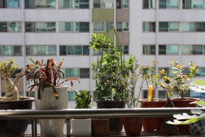 plantas para apartamentos